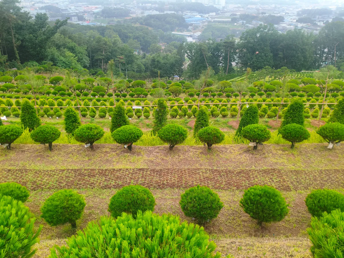 일산공감수목장(봉화사) 외관